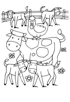 Krávy