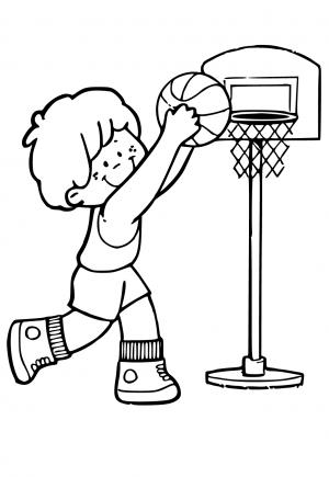 Basketboll
