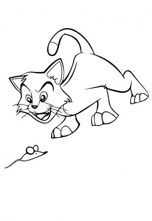 Kreslená Kočka