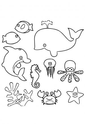 Mořská Zvířata