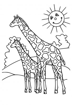 giraffe coloring pages for kids