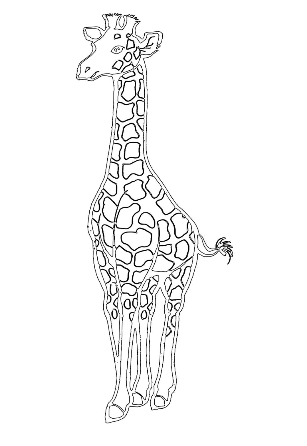 Dinossauro bobão desenho animado engraçado decoração e impressão png