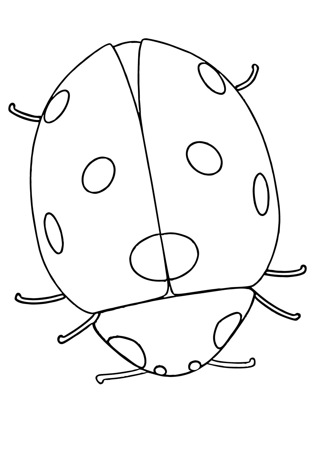 Desenhos da Ladybug para Colorir e Imprimir – Desenhos para Colorir
