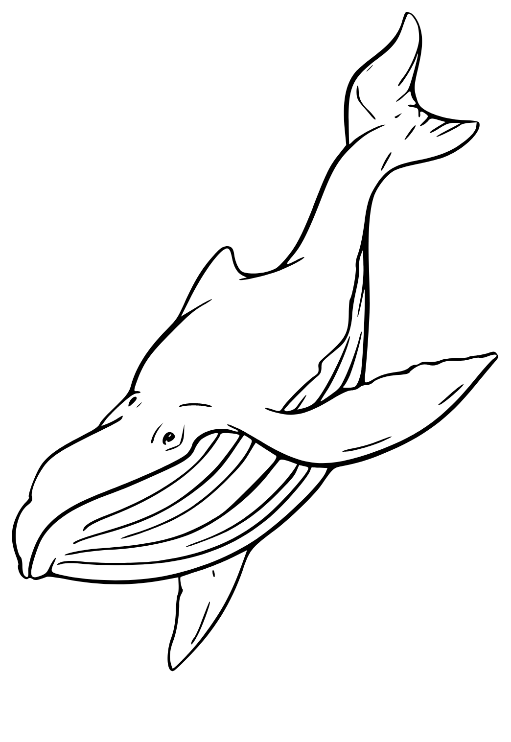 Desenhos para colorir de desenho de uma baleia fofa para colorir  