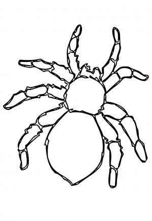 Roblox aranha para colorir - Imprimir Desenhos