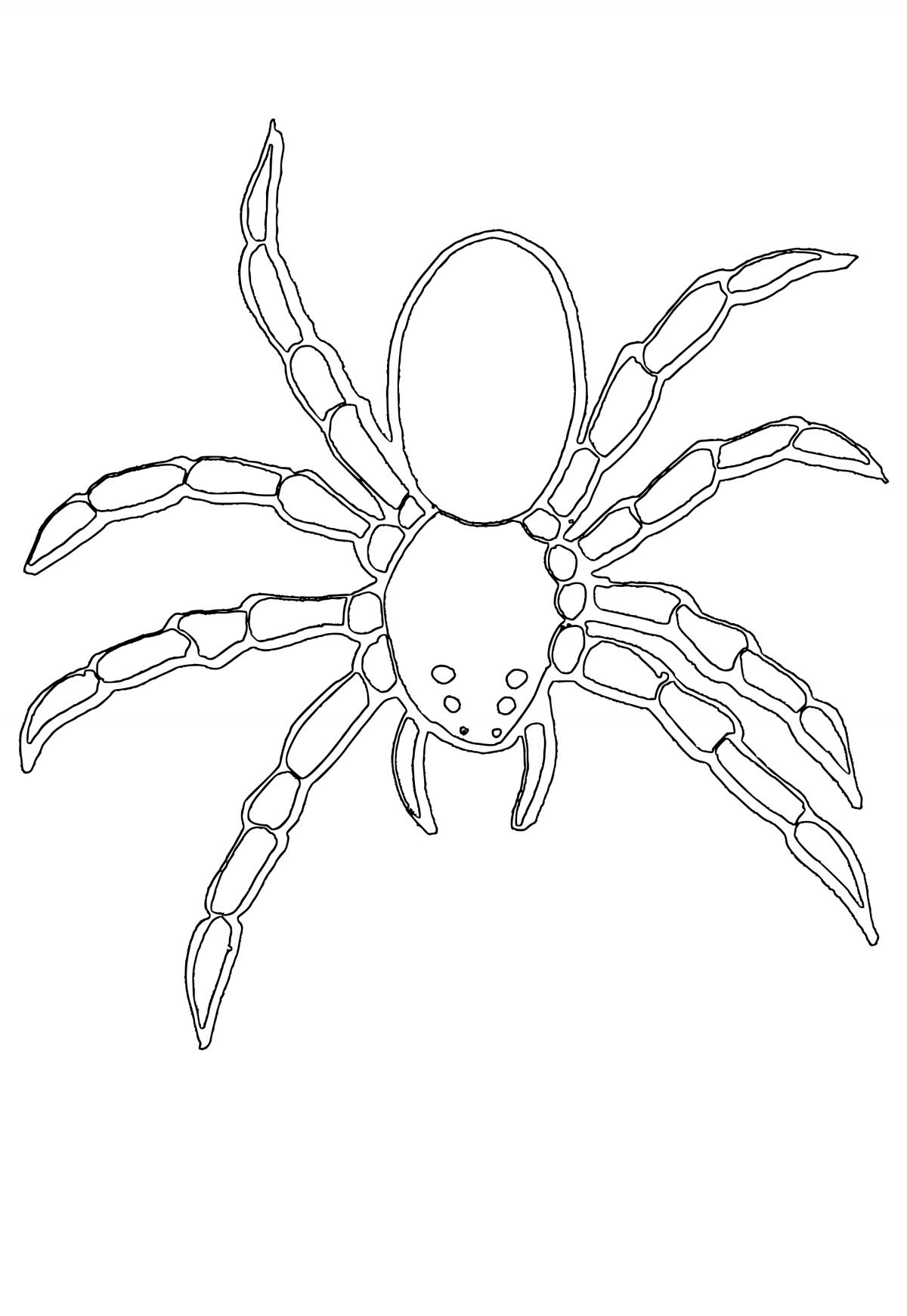 Homem-Aranha através da aranha para colorir - páginas para colorir  gratuitas para impressão