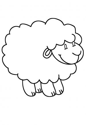 Вівця