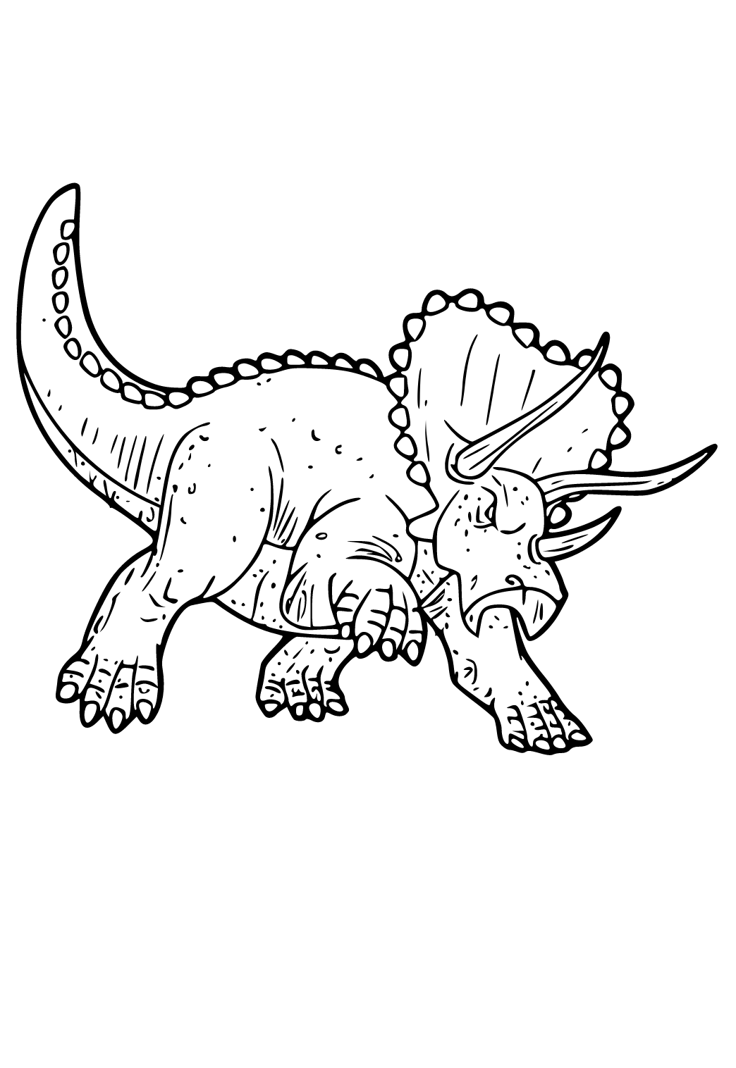 Triceratopo