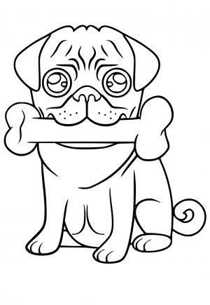 LOL Pet Puppy Sugar coloring page