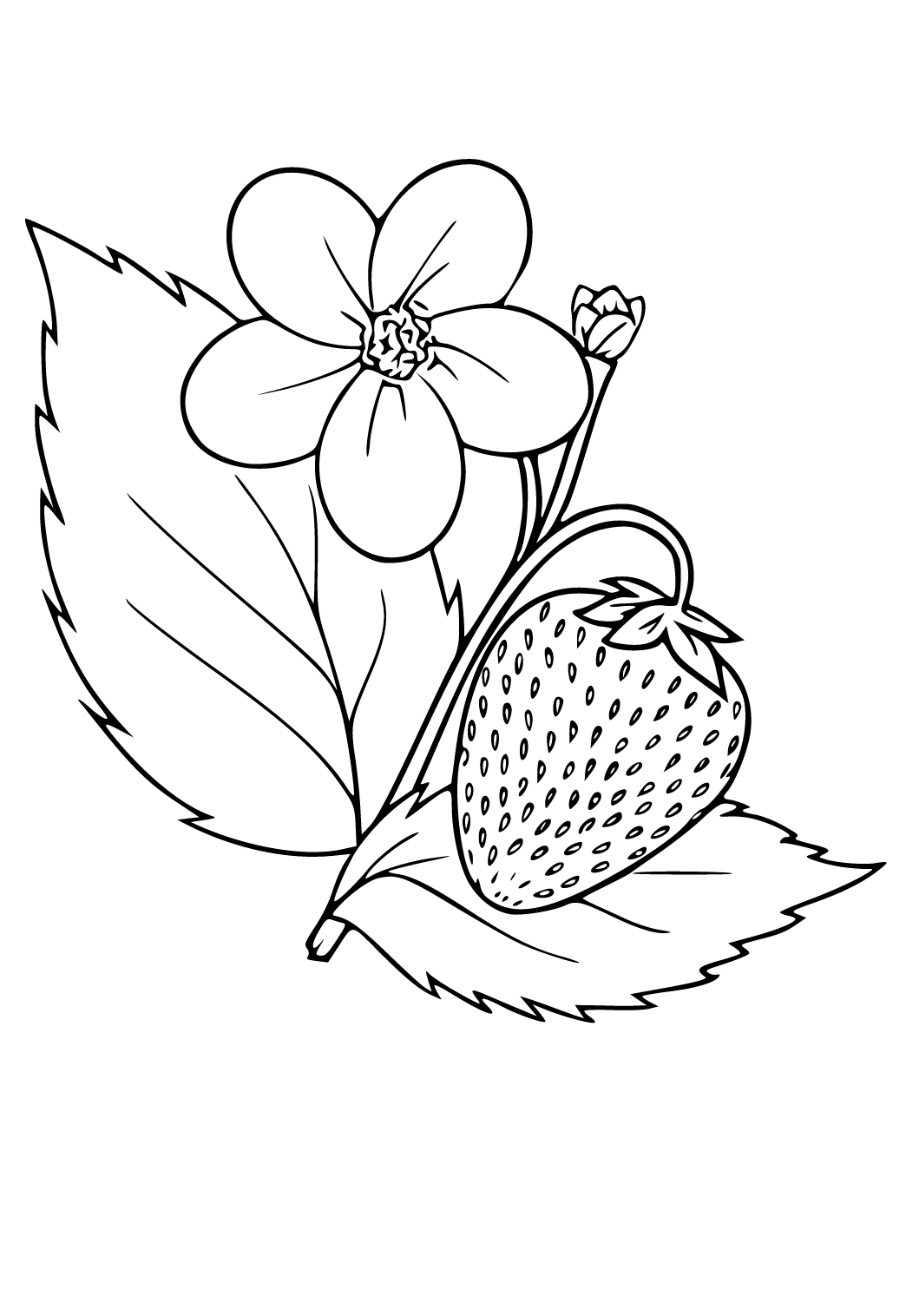 Desenho de Bolo de morango para Colorir - Colorir.com
