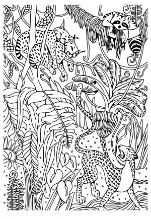 Coloriage Animaux De La Jungle Dessin Animaux De La Jungle à imprimer