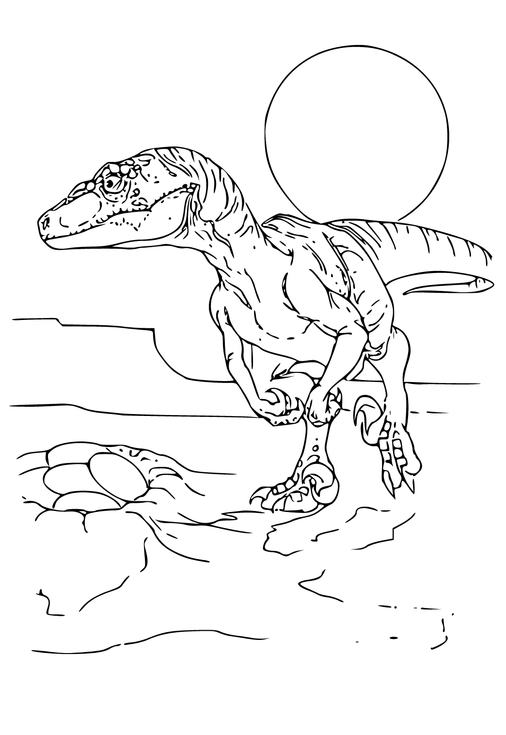 Velociraptor da colorare - Dinosauri - Disegni da colorare per adulti