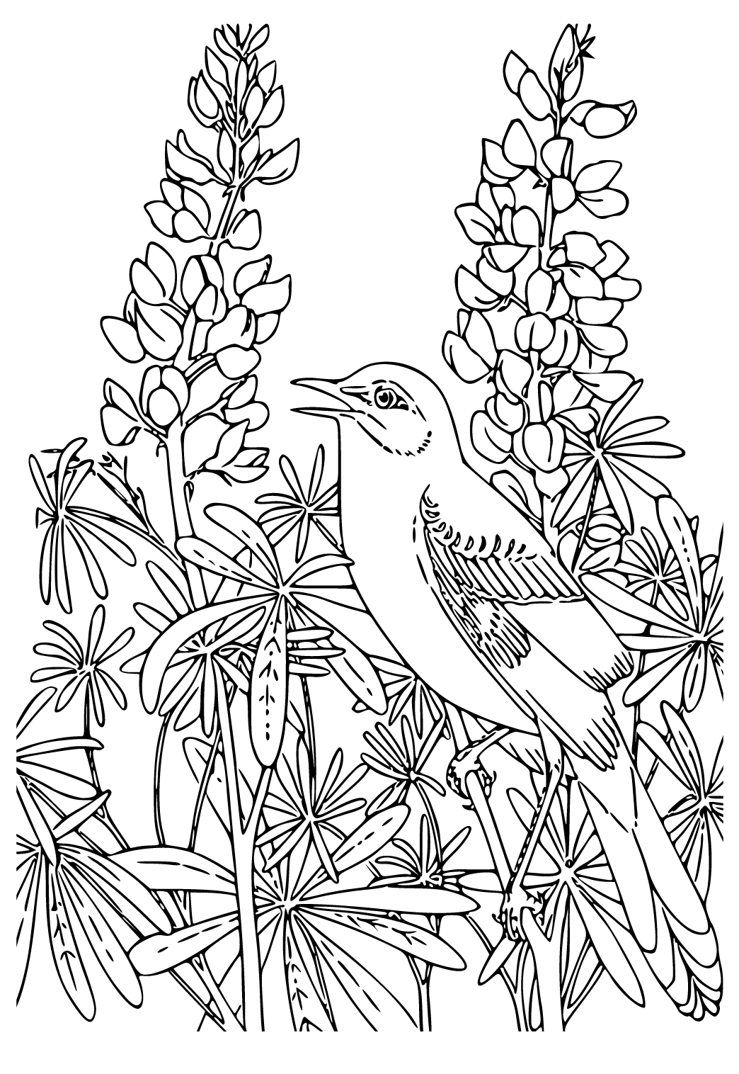 Desenhos para colorir de desenho de um dinossauro com um pássaro para  colorir 