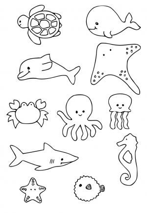 Zwierzęta Morskie