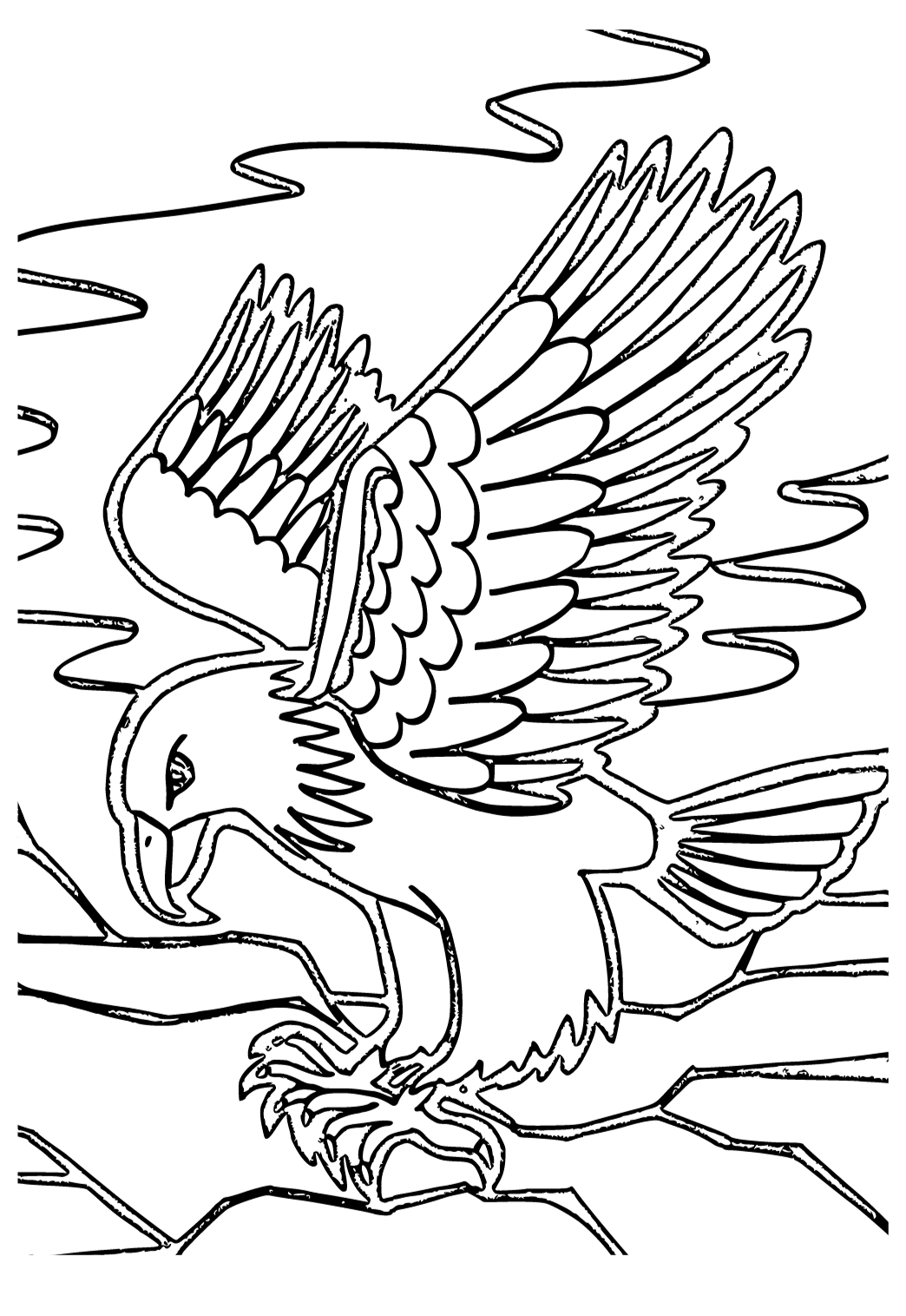Белоголовый Орлан