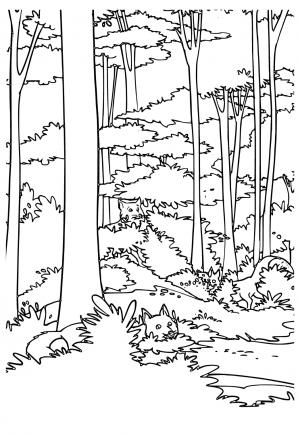 forestry mountain rescue coloring pages