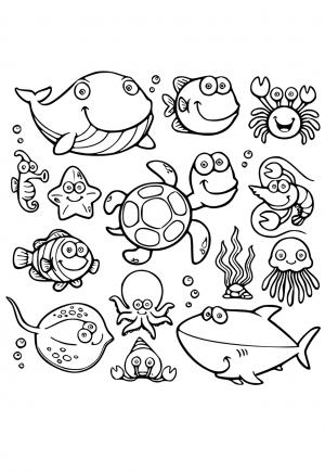 Океанические Животные