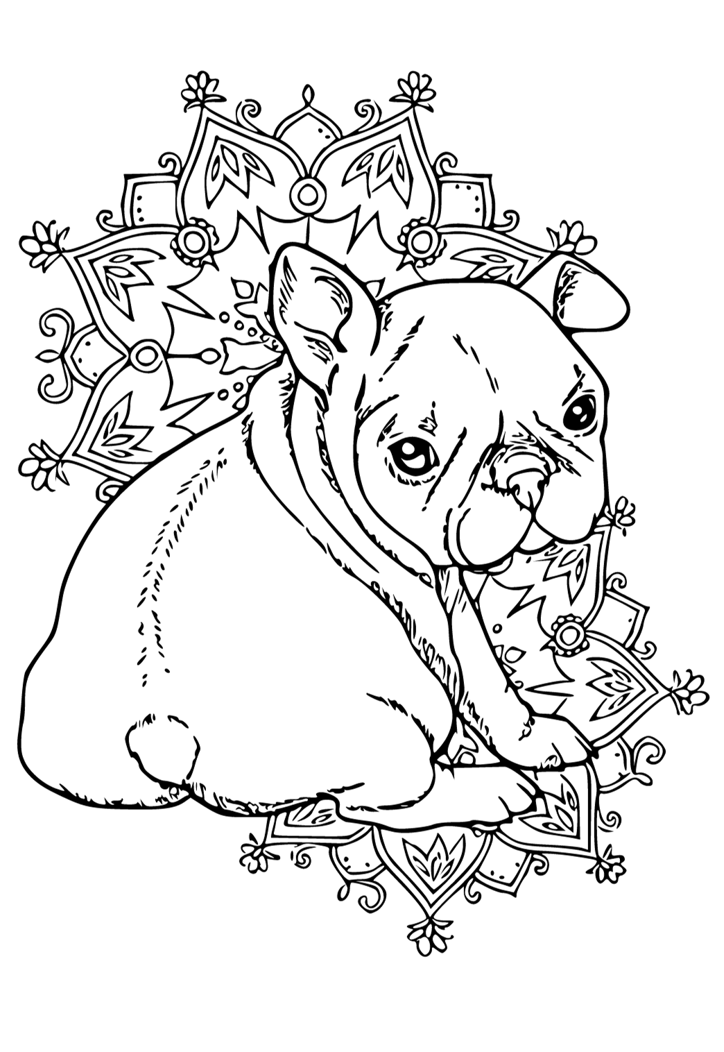 Desenho e Imagem A Dama e o Vagabundo Cachorrinhos para Colorir e Imprimir  Grátis para Adultos e Crianças 