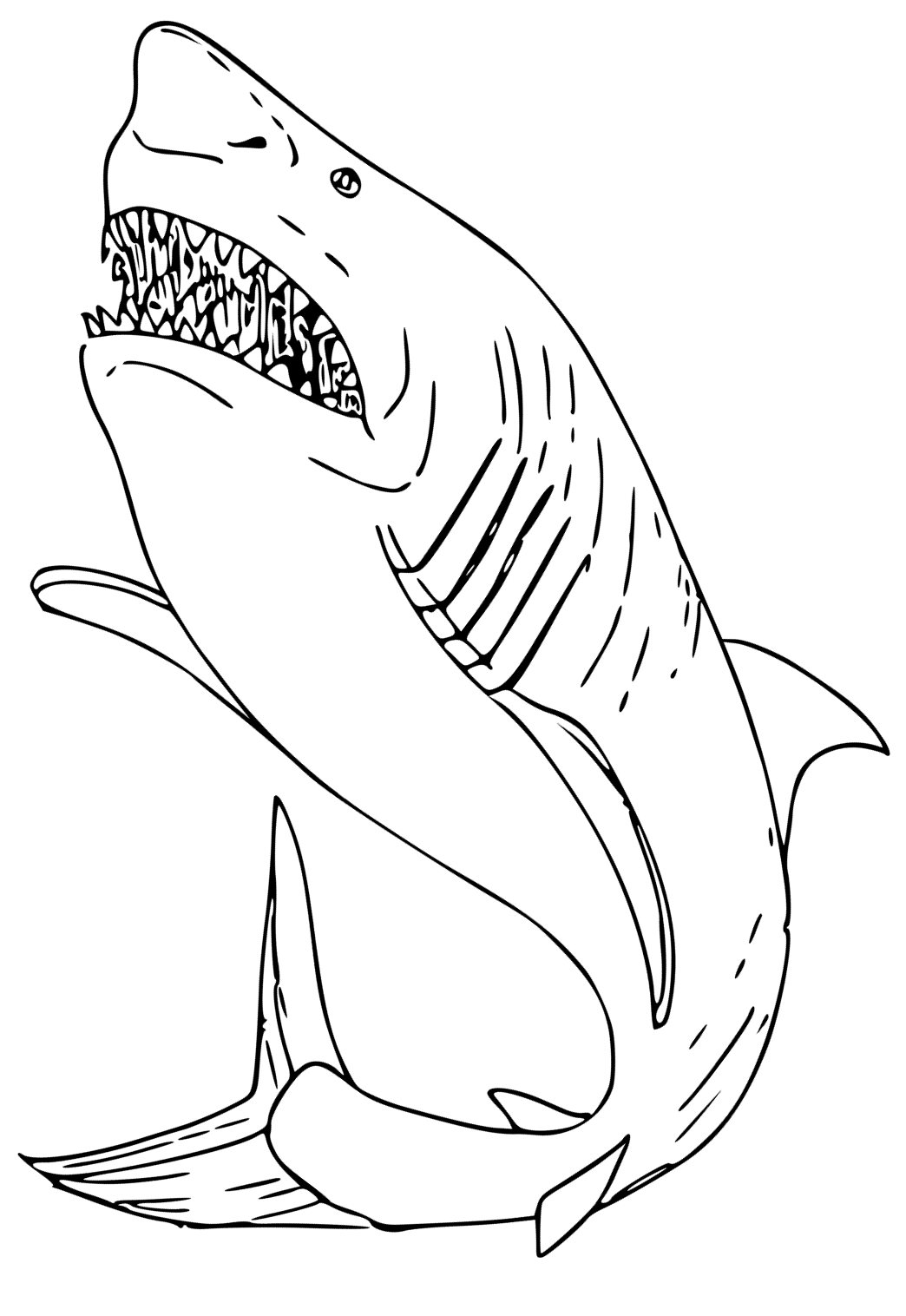 Cá Mập Trắng Lớn