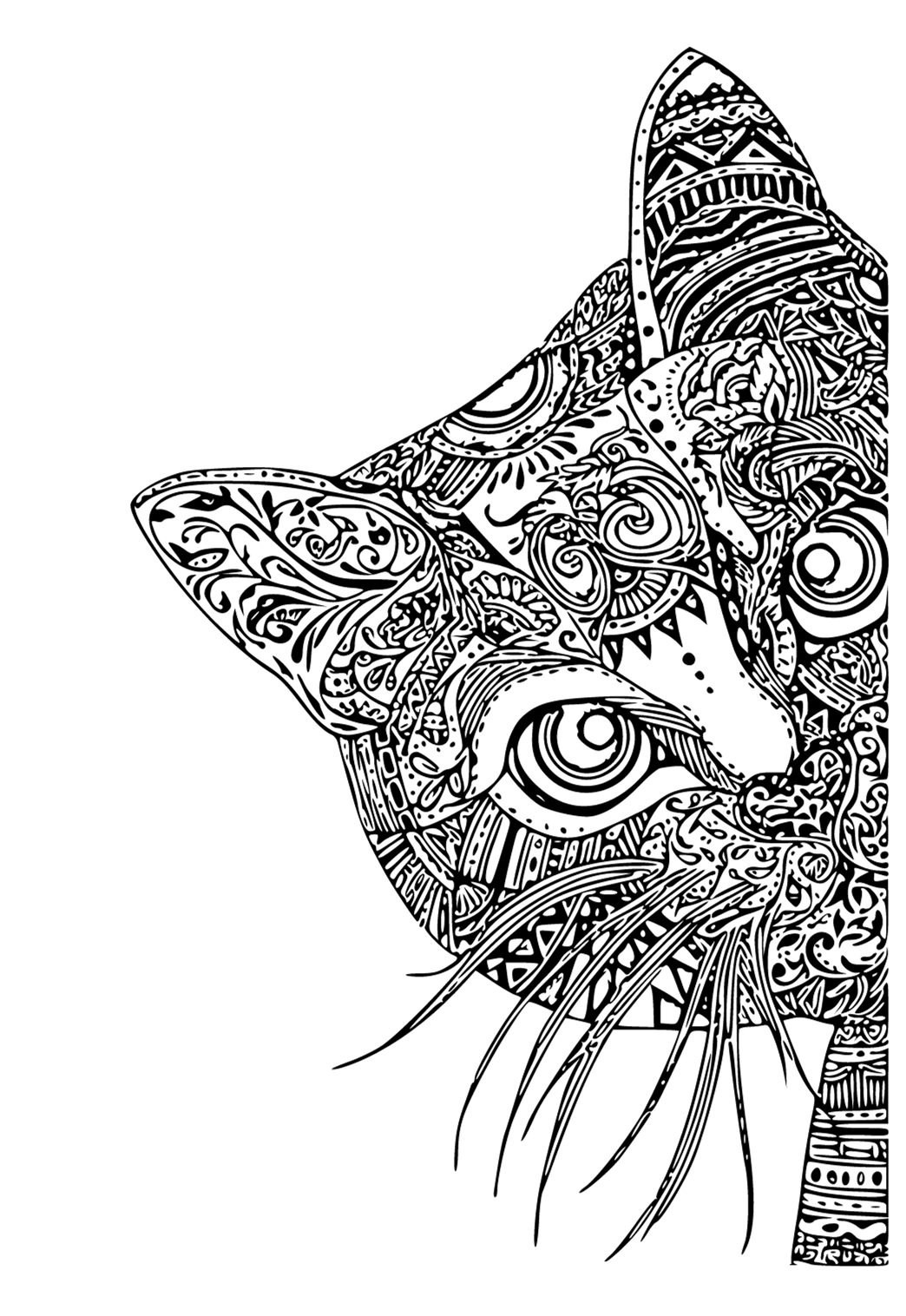 Gato de desenho animado e cabeça de sereia para colorir
