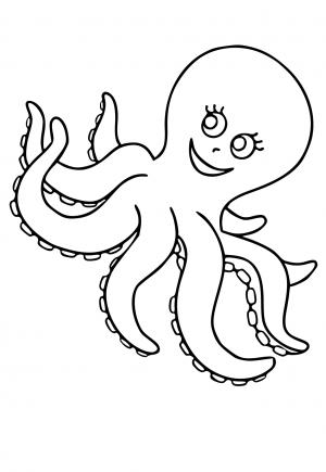 Hobotnica