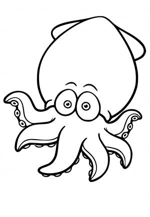Chobotnica