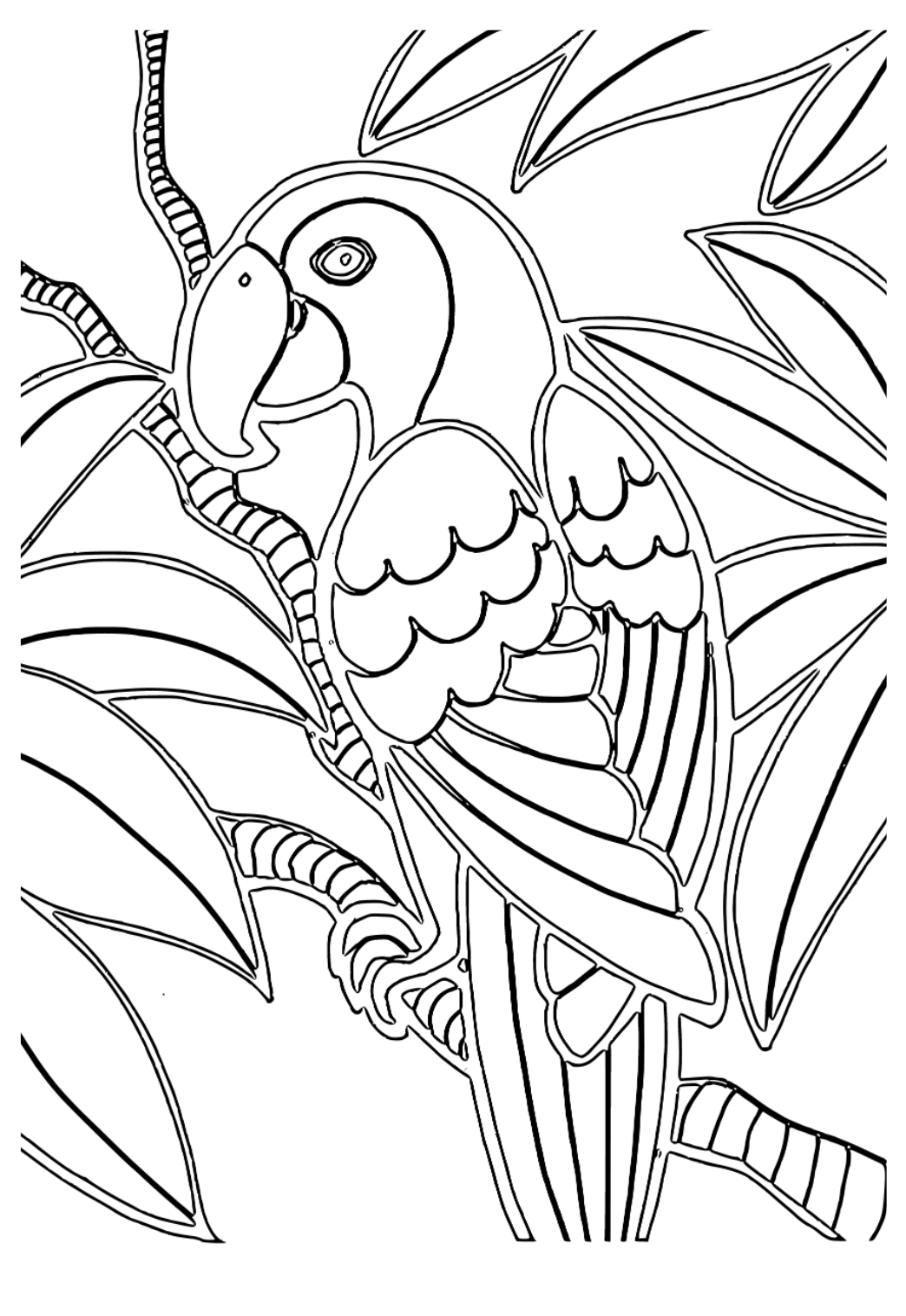 Pájaros | Libro De Colorear Para Mayores: Dibujos Grandes y Fáciles Para  Colorear Para Adultos O Para Principiantes | Cuaderno Para Colorear