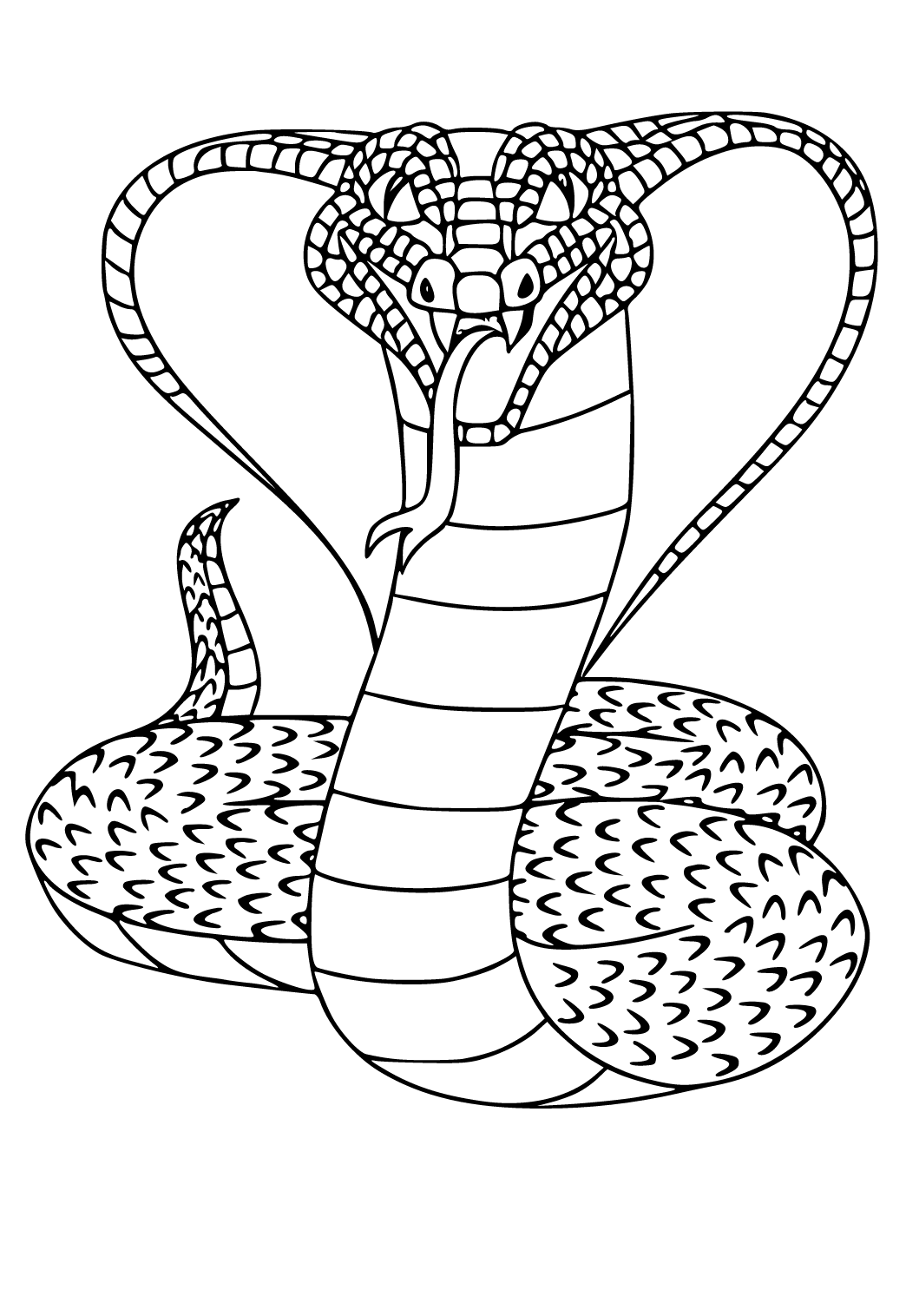 Kígyó