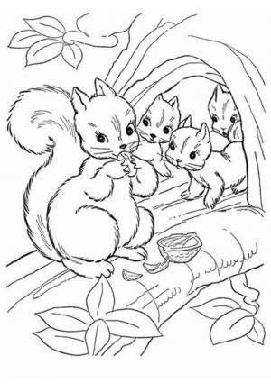 Desenho para colorir - Princesa com o esquilo!